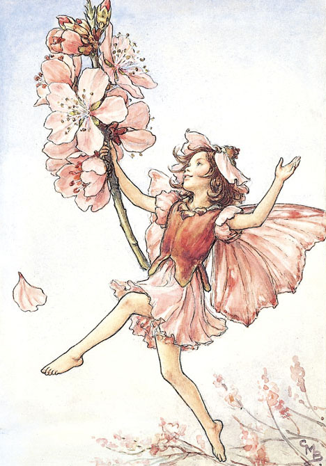 The almond blossom fairy - Fata dei fiori di mandorlo; Cicely Mary Barker