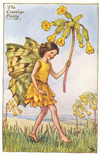 The cowslip fairy - Fata della primula; Cicely Mary Barker
