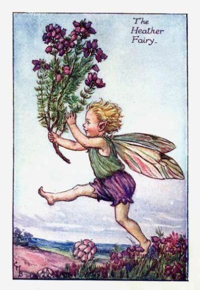 The heather fairy - Fata dell'erica; Cicely Mary Barker