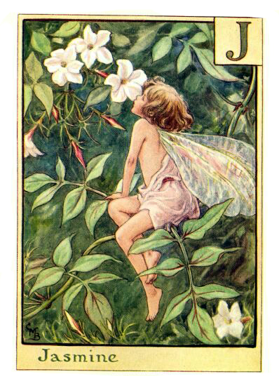 The jasmine fairy - Fata del gelsomino; Cicely Mary Barker